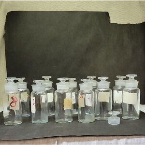 Clear Glass Apothecary Bottles Set Of 10 specimen containers